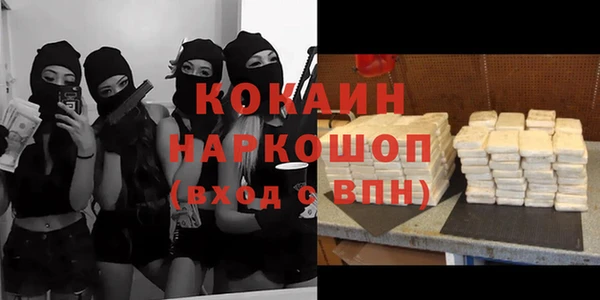 тгк Алзамай