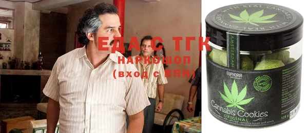 тгк Алзамай