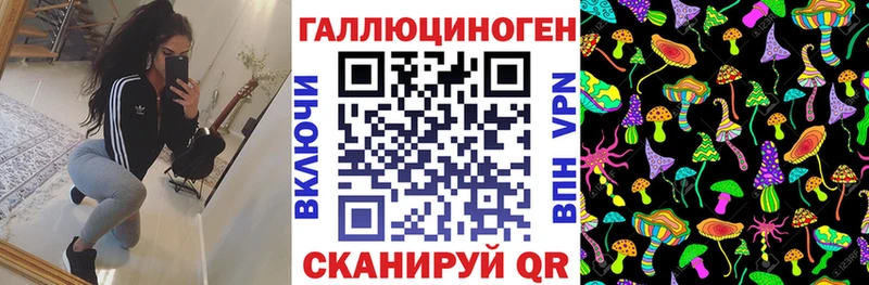 купить наркотик  mega tor  Галлюциногенные грибы Psilocybine cubensis  Мыски 