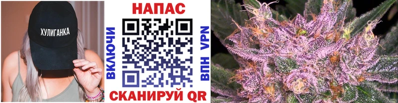 Канабис MAZAR Мыски